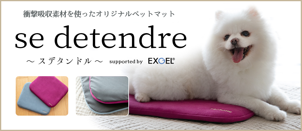 【PRESS RELEASE】「cachette（カシェット）」がEXGEL®（エクスジェル®を使用したペット用マットを2021年9月1日に発売
